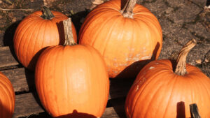Oral Health Benefits of Pumpkin Seeds